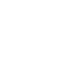 https://test1.antonia.md/wp-content/uploads/2023/03/p3-1.png